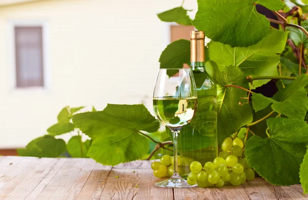 Groene druiven en witte wijn in de wijngaard — Stockfoto