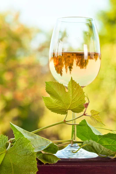 Sweet wine — Stock Photo, Image