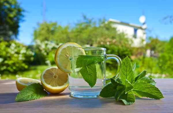 Peppermint tea with lemon — Stock Photo, Image