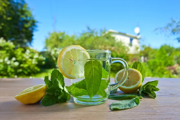 Peppermint tea with lemon — Stock Photo, Image