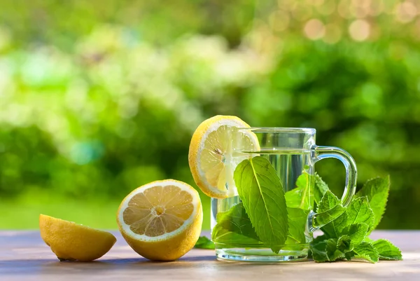 Peppermint tea with lemon — Stock Photo, Image