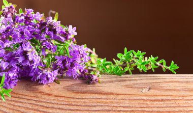 çiçek açması kekik 