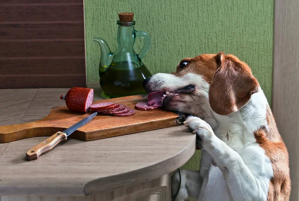 Pilferer cozinha Imagem De Stock