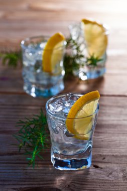 Limon ve ardıç şube ile cin