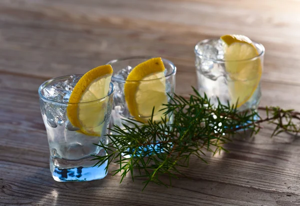 Gin mit Zitronen- und Wacholderzweig — Stockfoto