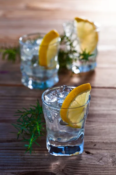 Gin mit Zitronen- und Wacholderzweig — Stockfoto