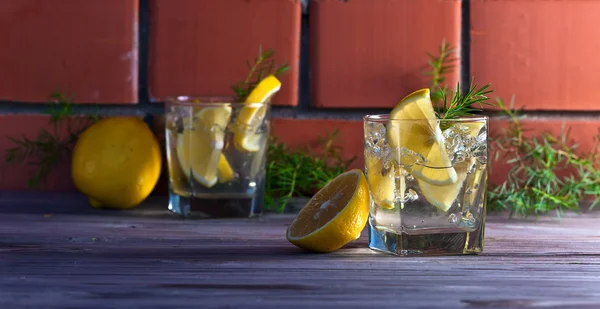 Алкогольный напиток с лимоном и льдом — стоковое фото