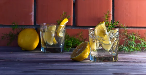 Alcoholic drink with lemon and ice — Stock Photo, Image