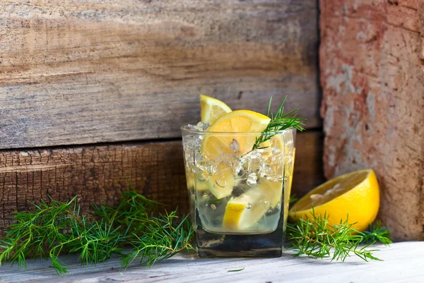 Alcoholic drink with lemon and ice — Stock Photo, Image