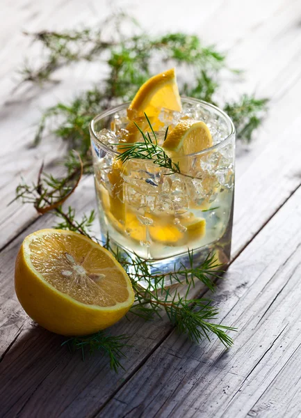 Bebida alcohólica con limón y hielo —  Fotos de Stock