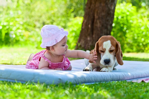 Little girl plays with dog — Stock Photo, Image