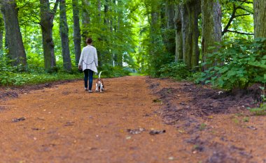 kadın parkta yürüyüş beagle ile