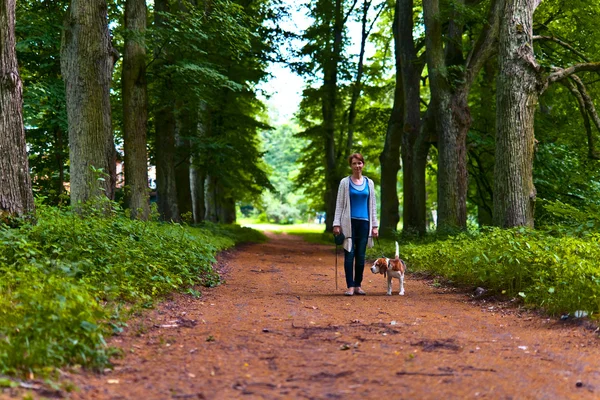 Kobieta z beagle spaceru w parku — Zdjęcie stockowe