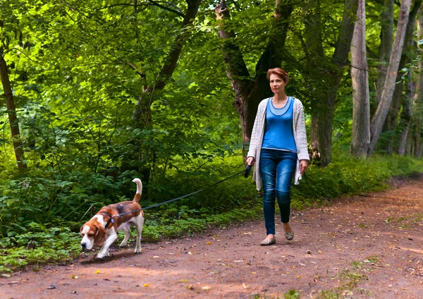 Mulher com beagle andando no parque — Fotografia de Stock