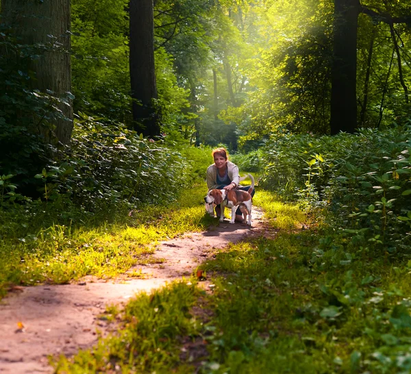 Vrouw met beagle wandelen in het park — Stockfoto