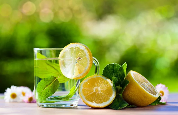 Herbal tea with lemon — Stock Photo, Image