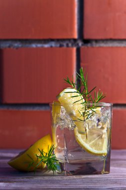 limon ve buz ile alkollü içki 