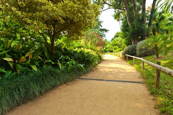 Botanical garden on Mediterranean coast of Spain, Blanes — Stock Photo, Image