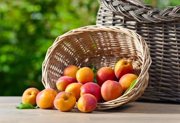 Сочные сочные абрикосы — стоковое фото