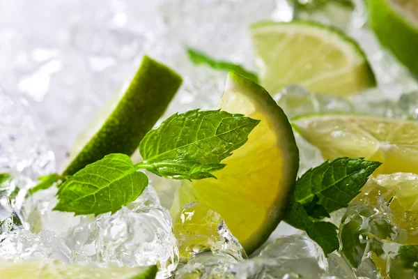 Lime och pepparmynta med is — Stockfoto