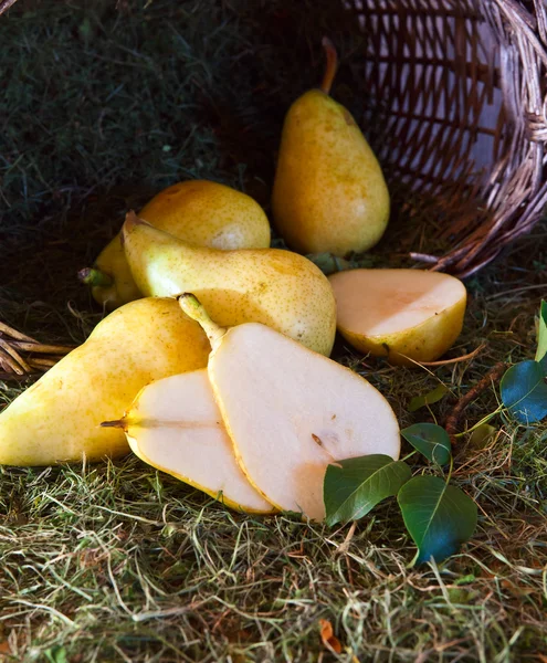 Gula päron — Stockfoto