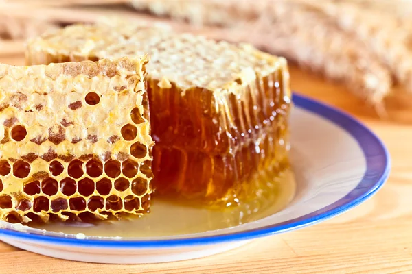 Bienenwaben — Stockfoto