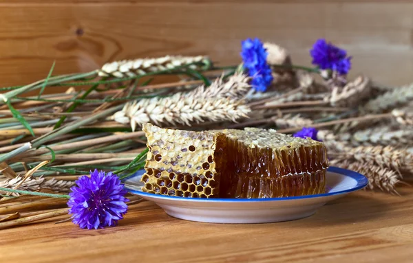 Bienenwaben — Stockfoto