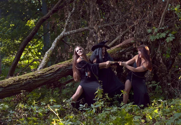 Three witches in forest — Stock Photo, Image