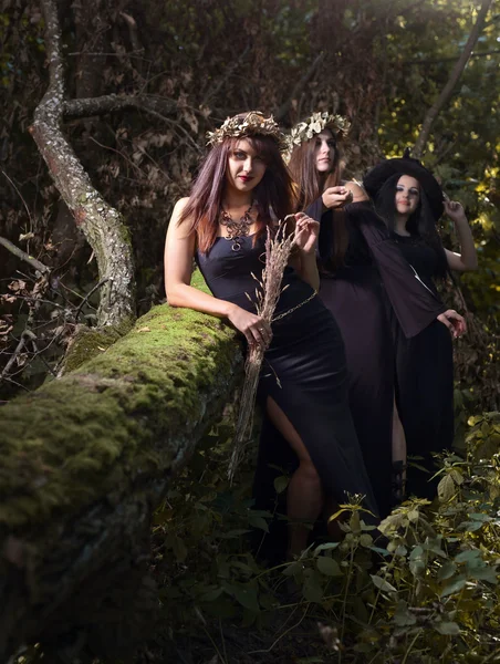 Brujas en el bosque oscuro —  Fotos de Stock