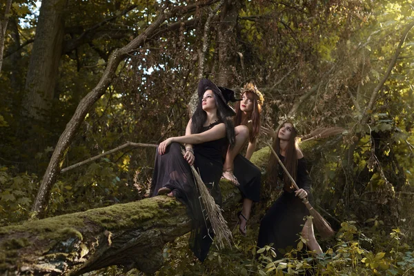 Witches in dark forest — Stock Photo, Image