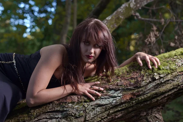 Bruxa na floresta escura — Fotografia de Stock