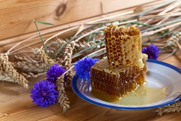 Bienenwaben — Stockfoto