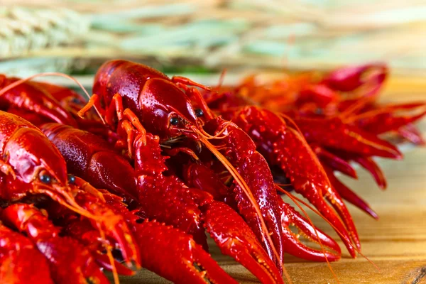 Boiled crayfish — Stock Image Boiled crayfish Royalty Free Stock Images