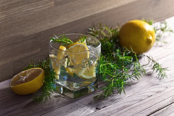 レモンと氷酒 — ストック写真