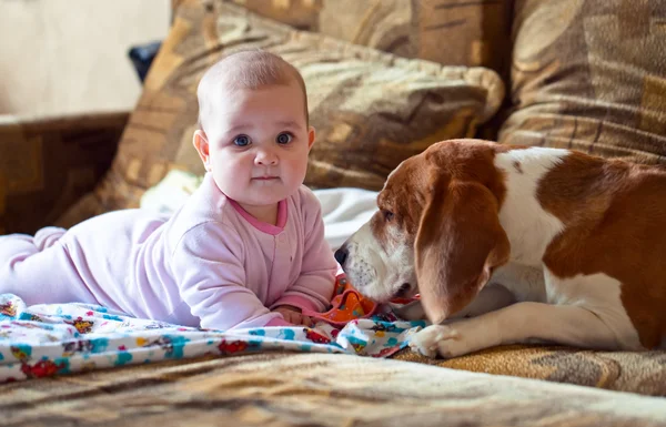 Liten flicka med hund — Stockfoto