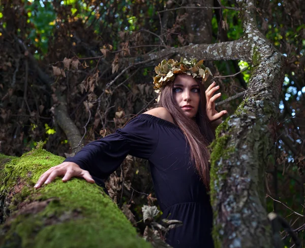 Bruja en el bosque oscuro — Foto de Stock