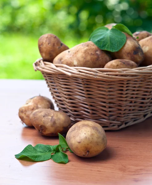 Patates. — Stok fotoğraf