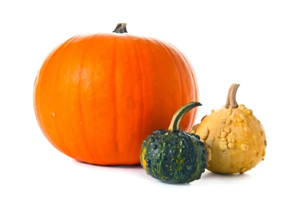 Calabazas thre — Foto de Stock