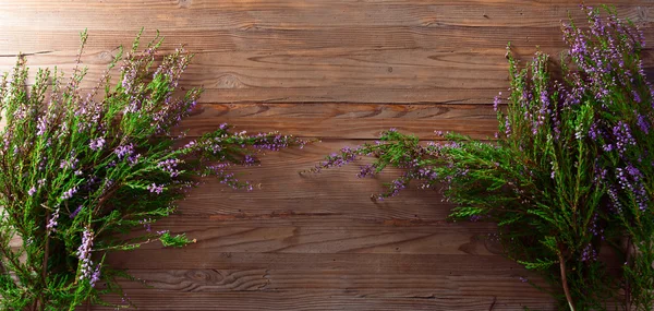 Blooming heather — Stock Photo, Image