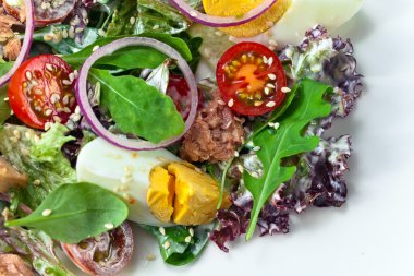 ton balıklı yeşil salata