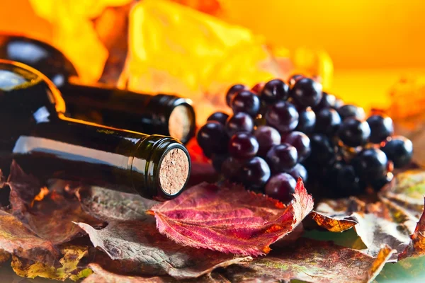 Rotwein — Stockfoto