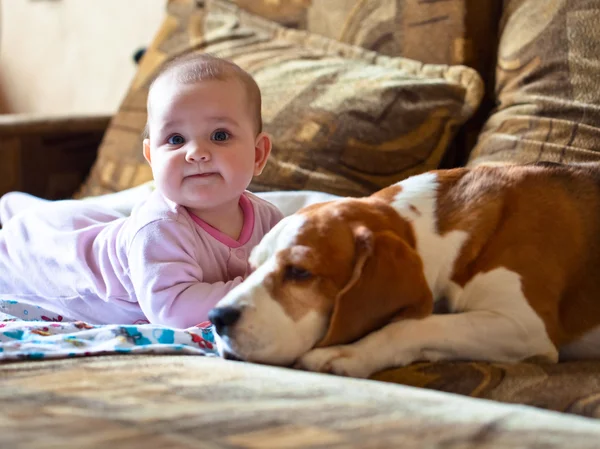 Köpekli küçük kız. — Stok fotoğraf