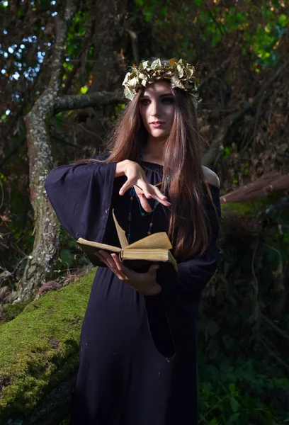 Bruja en el bosque oscuro — Foto de Stock