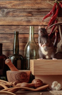 Ahşap bir kulübede eski mutfak gereçleri olan bir masada fare..