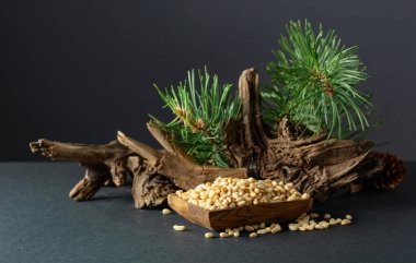 Çam fıstığı soyulmuş, sedir ağacı kurumuş ve yeşil dalları var. Siyah arka planda ahşap tabakta çam fıstığı.