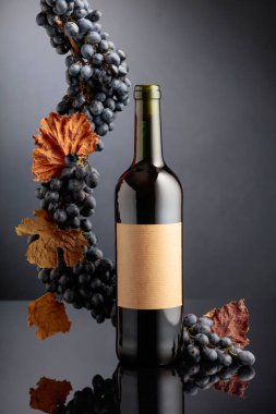 Siyah yansıtıcı arka planda mavi üzümlü bir şişe kırmızı şarap. Eski boş bir şişede. Boşluğu kopyala.