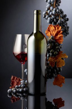 Siyah yansıtıcı arka planda mavi üzümlü kırmızı şarap. Boşluğu kopyala.