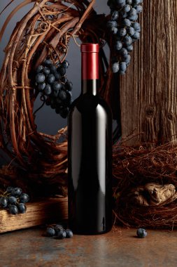 Kurumuş asma ve mavi üzümlerin olduğu eski bir tahtanın arka planında bir şişe kırmızı şarap. Yıllanmış şarap konsepti.
