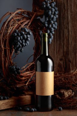 Kurumuş asma ve mavi üzümlerin olduğu eski bir tahtanın arka planında bir şişe kırmızı şarap. Şişede mesajın için yeri olan eski bir etiket var. Yıllanmış şarap konsepti.