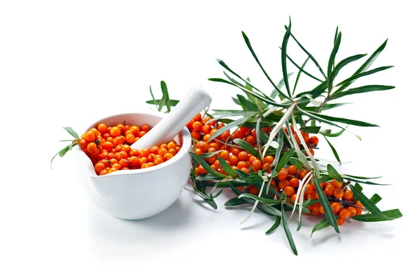 Sea-buckthorn berries — Stock Photo, Image